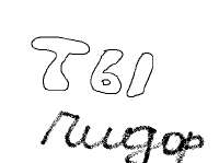 425x317