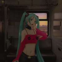 736x736