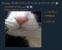 337x275
