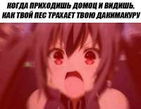 599x463