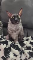 608x1080