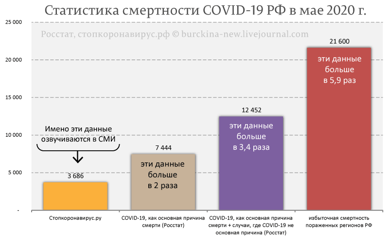 800x495