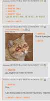360x719