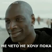 498x498