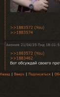 361x586