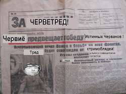 500x376