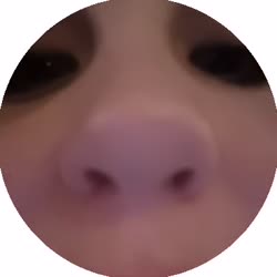 384x384
