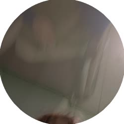 384x384