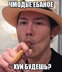 462x531