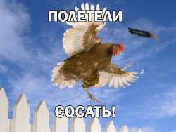 529x399