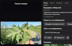 973x628