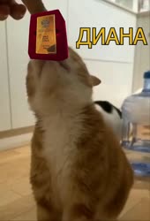 720x1056