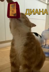 720x1056