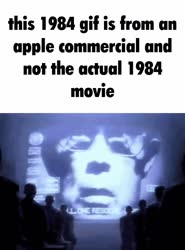 498x670