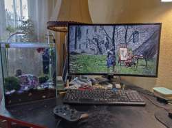 1163x869