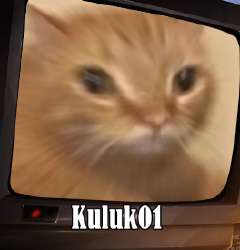 264x275