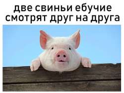 667x499