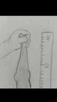 352x624