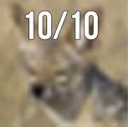 182x180