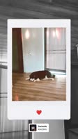 720x1280