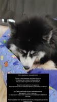 720x1280