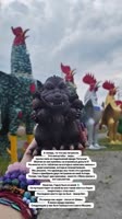 720x1280