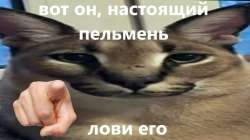 1280x720