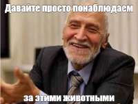 519x395
