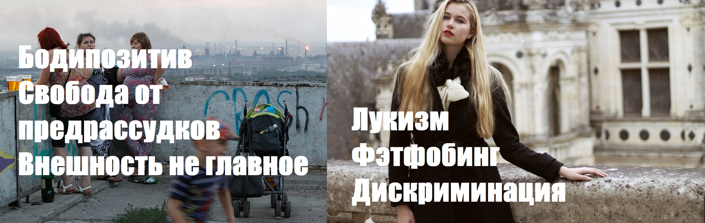 2316x732