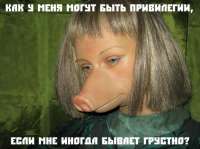 646x484