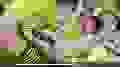 120x67