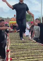 1544x2160