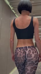 704x1252