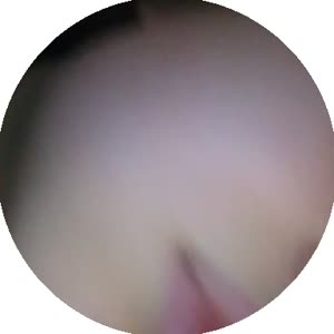 384x384