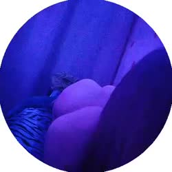 384x384