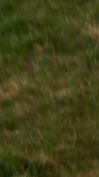 576x1024