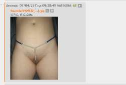 493x337
