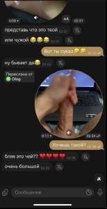 597x1161