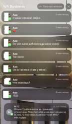 499x860