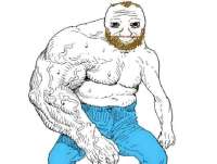 520x395