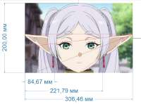 897x667