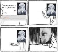 556x493