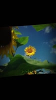360x640