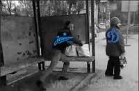 352x233