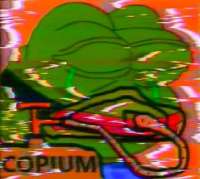 512x460