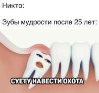 736x691