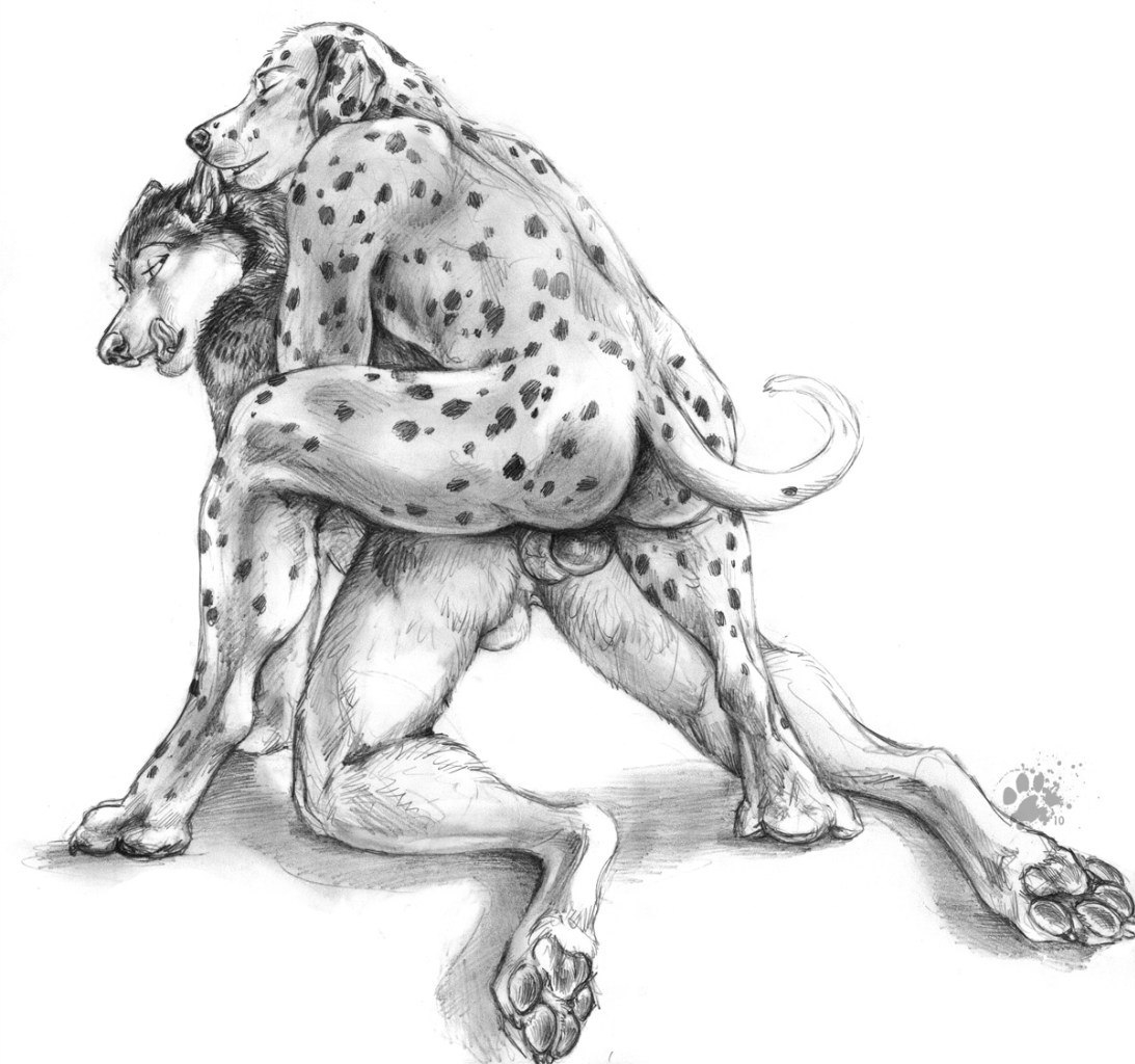 1093x1024