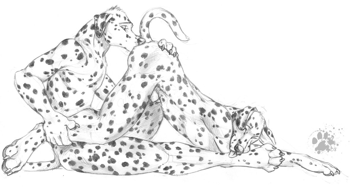 1200x632