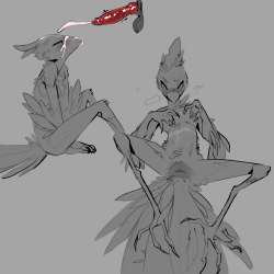 1919x1919