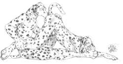 1200x632